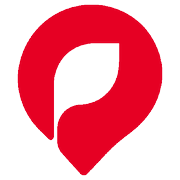 Pinora