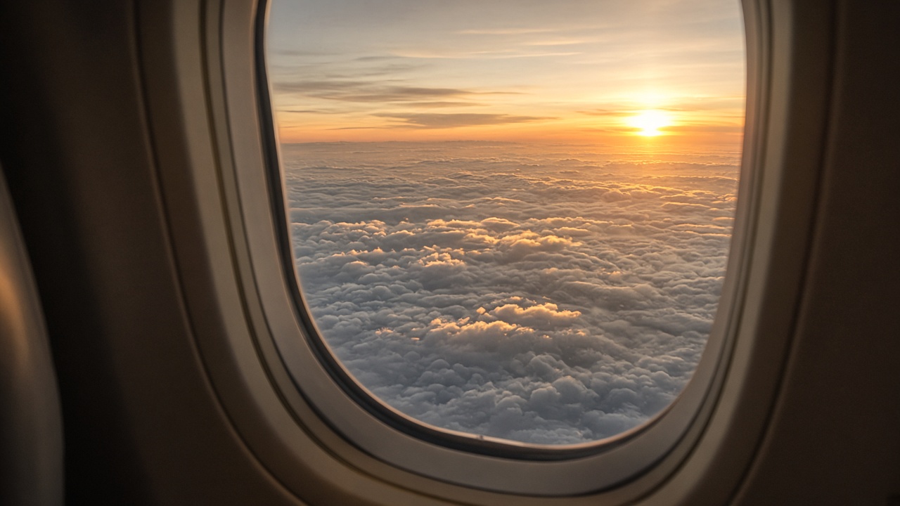 Travel